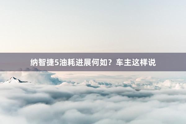 纳智捷5油耗进展何如？车主这样说